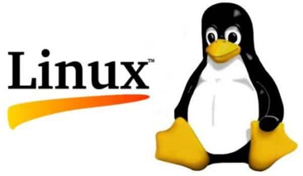 امنیت - سرور - لینوکسی - LINUX - سرور - server - linux - لینوکس
