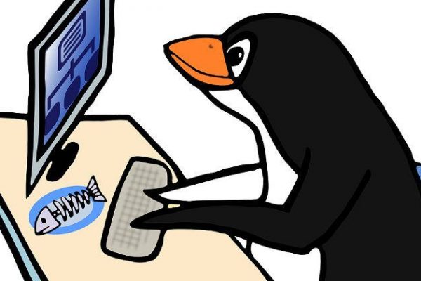 سیستم عامل لینوکس - لینوکس - سیستم عامل - او اس - لینوکس او اس - سیستم لینوکس - لینوکس سیستم - Linux - OS - Linux OS - operating system - Linux operating system
